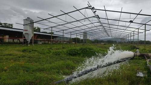 Imagen 11 de 14 de Venta Finca, Guigue Planta Cod. 155496