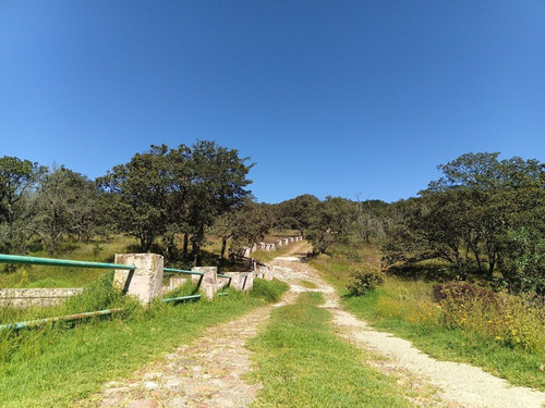 Terreno En Venta En Sierra De Lobos