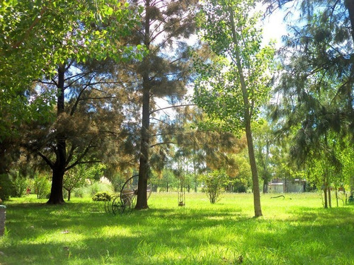 Imagen 6 de 29 de Casa Quinta, Alquiler, Dueño Directo