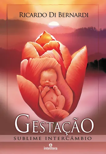 Livro Gestação Sublime Intercâmbio | MercadoLivre