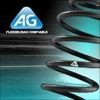 Kit 2 Espirales Traseros Ag Ford Fiesta Ambiente 2003/