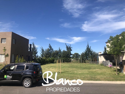 Imagen 1 de 6 de Oportunidad! Muy Lindo Lote De 466 Metros Dentro Del Barrio Las Tipas - Nordelta