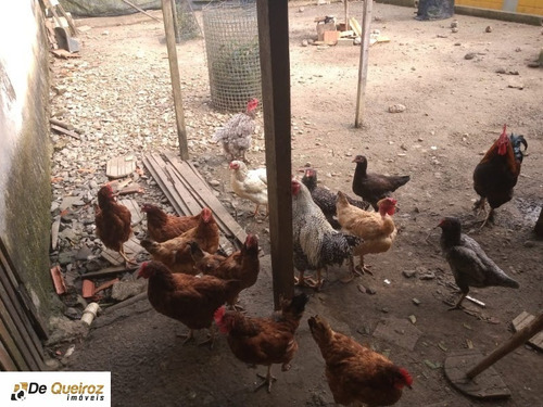 Imagem 25 de 30 de Chácara Em Itanhaém , Jd Real , Lado Morro, Isolada, Murada , 2 Dormitórios , Sendo 1 Suite, Sala - 5042 - 68316416