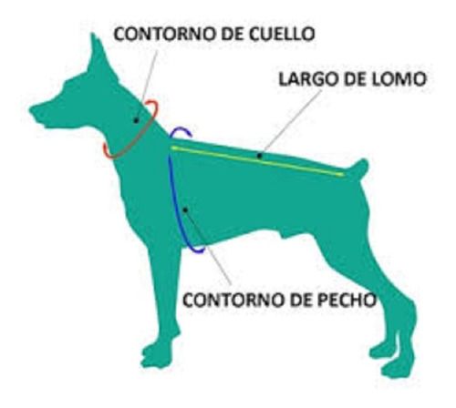 Abrigo Chaleco Para Perro. Escoces  .  Forrado Corderito 