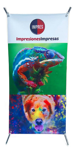 Pendones Araña Mini X 20*40