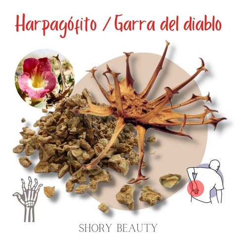 Té Shory Beauty En Granel Garra Del Diablo 100 g