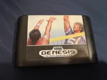 Comprar Super Volleyball Para Sega Genesis,excelente Titulo.