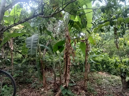 Finca De Descanso