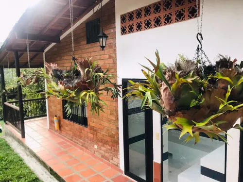 Finca En Venta En Copacabana. Cod V11882