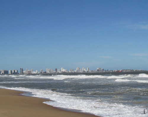 Imagen 12 de 16 de Apartamento Frente Al Mar, Rambla Brava, Primera Linea, Piscina.