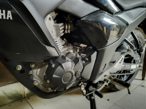 Fz15