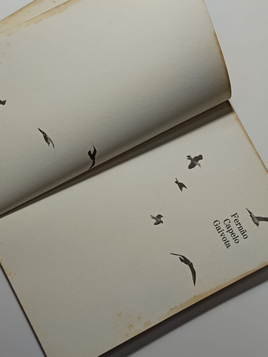 Livro A História De Fernão Capelo Gaivota, Richard Bach - Editora Nórdica (Usado)