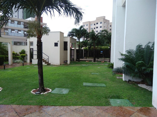 Apartamento Venda Em Capim Macio