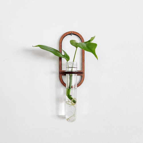Jarrón De Pared Para Cultivo, Tubo De Ensayo, 2 Unidades, Pa