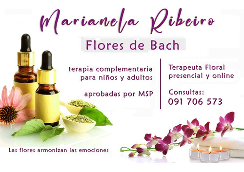 Imagen 2 de 7 de Flores De Bach (enviamos) Incluye Terapia