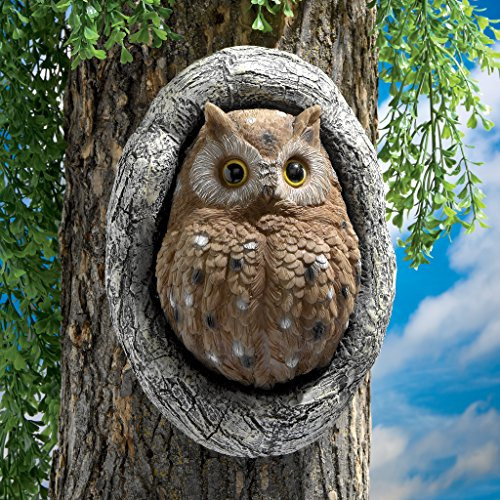 Escultura De Árbol Con Búho En Design Toscano