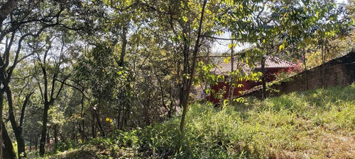 Imagem 13 de 14 de Chácara Em Condomínio Fechado, 25mil M2