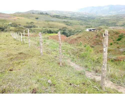 Venta Finca Restrepo Valle Del Cauca