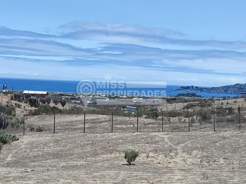 Se Vende Terreno En Salinas De Tongoy