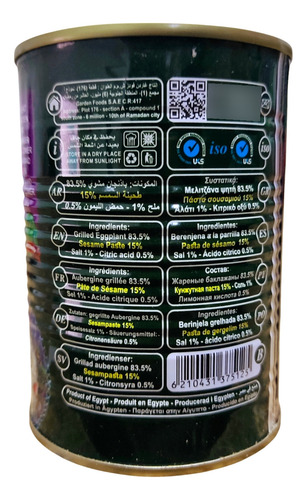 Salsa Pasta De Berenjena Baba Ganoush Y Tahini 400g Premium