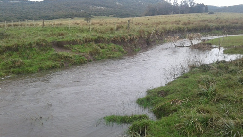 Campo De 80 Hectáreas En Lavalleja, Cerca De Minas