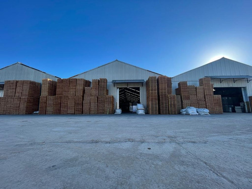 Imagen 15 de 18 de Depósito/galpon En Alquiler Ideal Logistica 5400m2 - Quilmes Oeste