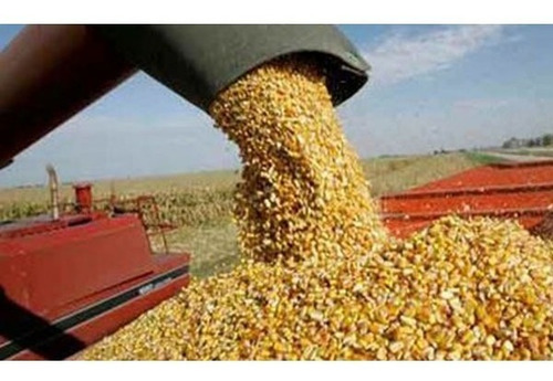 Imagen 9 de 9 de Planta Aba Para Alimentos Balanceados Y Concentrados