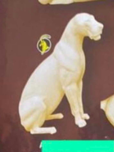 Animales Disecados 100% Artificiales. Leon Africano
