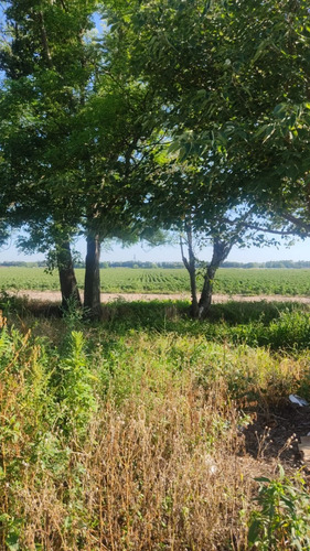 Campo Mixto De 784 Ha En Fernandez, Santiago Del Estero
