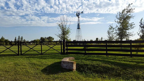 Imagen 4 de 7 de Terreno En Venta Luján