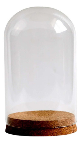 A Vitrina De Cristal Preservada De La Bóveda De De 9cmx15cm