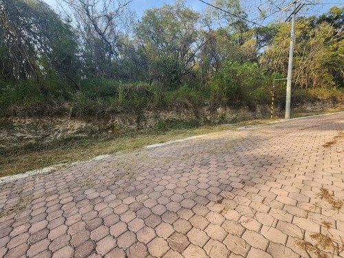 Venta Lote Gladiola 31 Muy Cerca De La Entrada Y En Nueva Zona De Fracc Rancho San Diego Ixtapan De La Sal Edomex Con Todos Los Servicios Y Proyecto Incluído