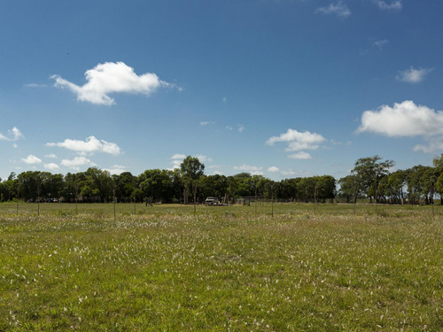 Lote 37 Villa Chica