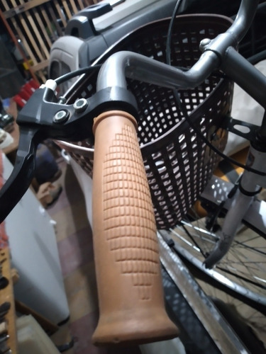 Bicicleta Dolphin Rodado 26