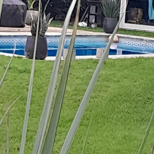 Casa En Venta Ing. Maschwitz Barrio Alamo Altp