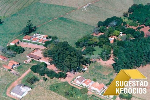 Imagem 2 de 15 de Fazenda No Asfalto Agricultura Ou Pecuaria - 3112