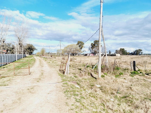 Imagen 12 de 24 de Venta De Campo De 2 Hectáreas En Guernica