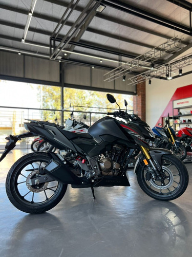 Honda Cb 300 F Twister - Paperino
