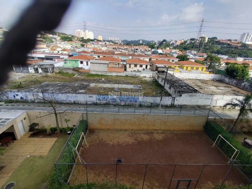 Imagem 14 de 15 de Excelente Oportunidade Em Rio Pequeno. Aproveite! - Mi131224