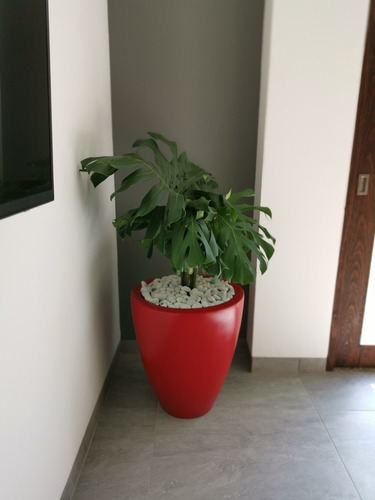 Maceta Moderna De Fibra De Vidrio Grecia Chica Roja