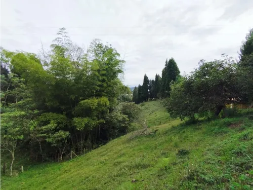 Venta De Lote En Guarne, Vereda Hojas Anchas
