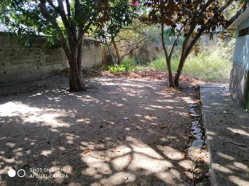 Terreno En Los Tamarindos (jd)
