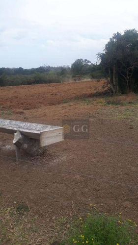 Imagem 2 de 6 de Terreno À Venda, 500 M² Por R$ 40.000,00 - Costa Do Oveiro - Viamão/rs - Te0290
