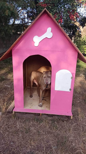 Imagen 6 de 10 de Hotel, Guardería Y Alojamiento De Perros