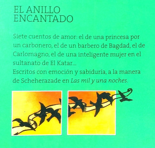 El Anillo Encantado Maria Teresa Andruetto Pan Flauta 2010 (Usado)