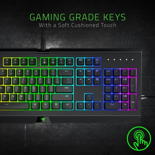 Imagen 5 de 6 de Teclado Razer Cynosa Lite Essential Gaming Rz03-02741600