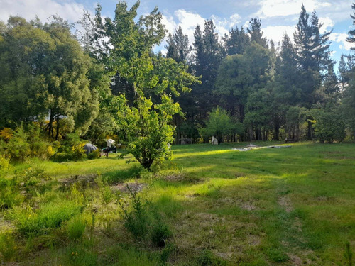 Imagen 14 de 21 de Excelente Loteo, Lago Puelo Lote N° 4