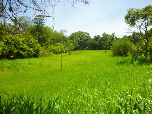 Imagem 16 de 18 de Terreno A Venda, Colinas De Indaiatuba Ii, Indaiatuba - Tr01631 - 4229513