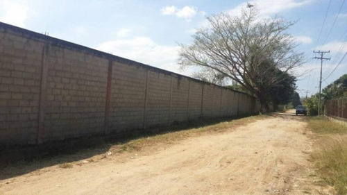 Imagen 7 de 14 de Terreno En Venta En Tocuyito