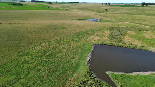 Venta De Campo De 150 Hectáreas En Curva Matonte Florida